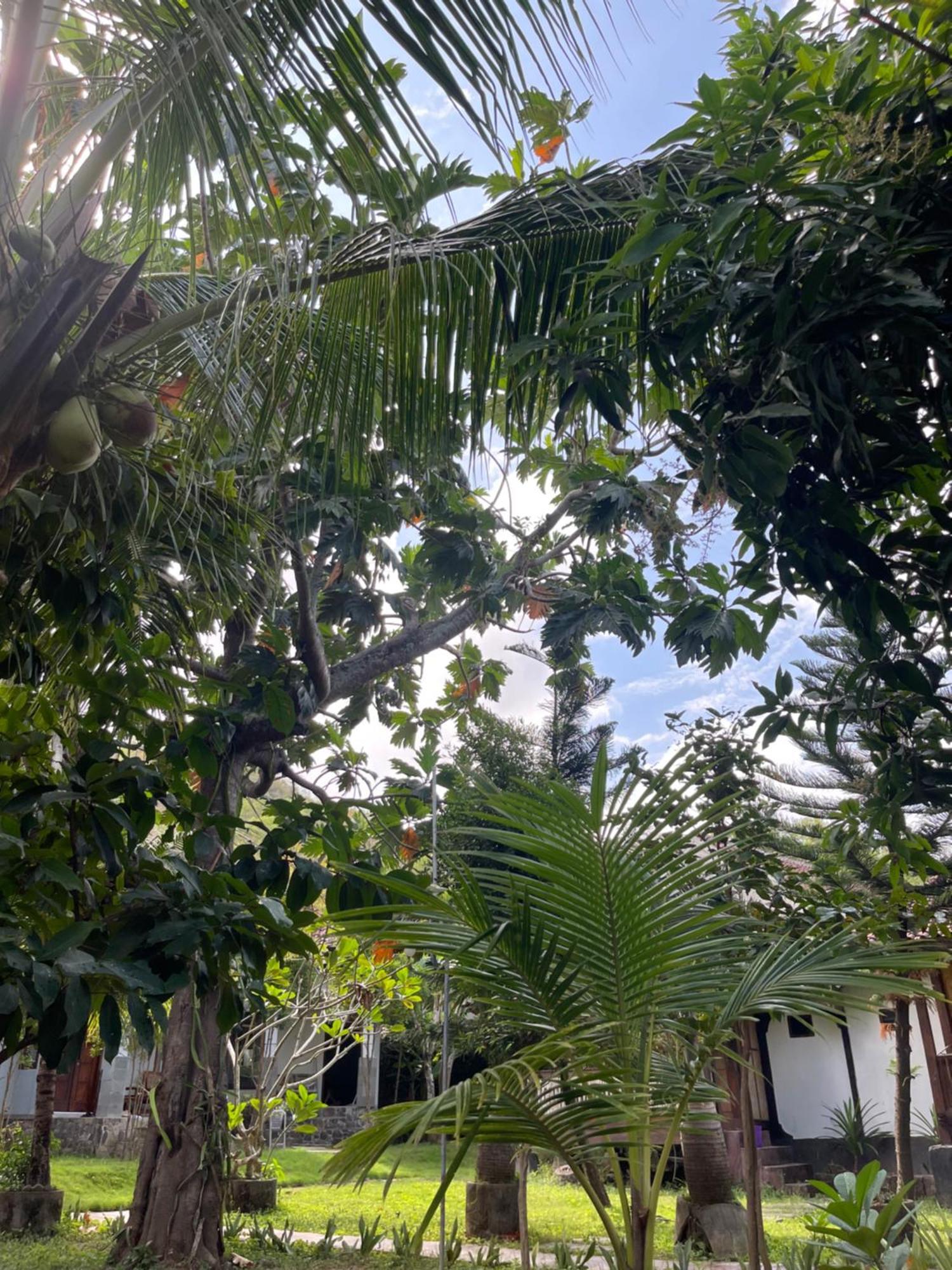 三普特里杜民宿 Kuta  外观 照片